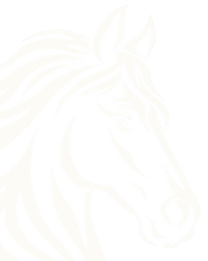 Arvak Stamp